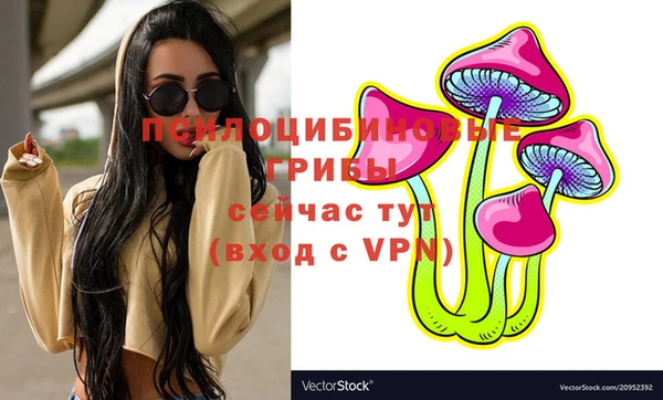 наркотики Приозерск