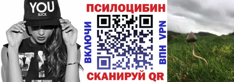 Псилоцибиновые грибы GOLDEN TEACHER  купить закладку  Сольцы 
