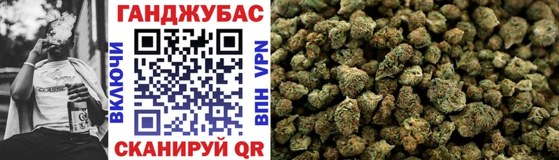 Бошки марихуана сатива  Сольцы 